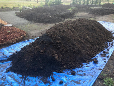 bio-char at San Juan Island Tea Farm