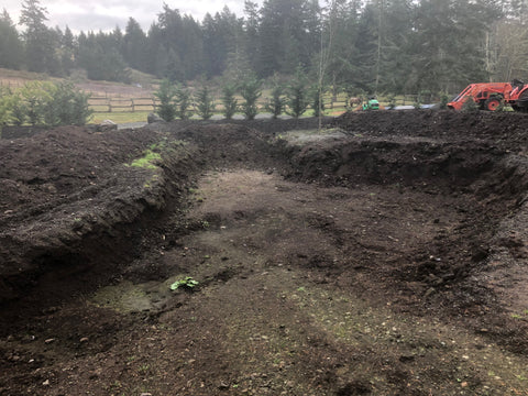 Donna's pond at San Juan Island Tea Farm