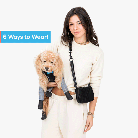 6 ways to wear the Bag & Leash Combo