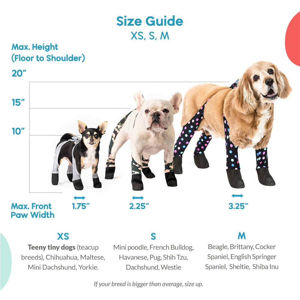 dog leggings for back legs