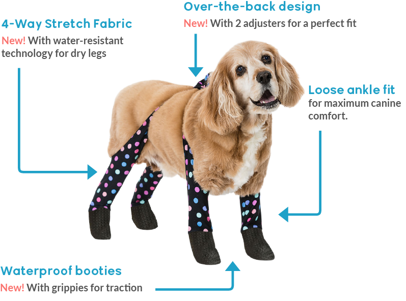 dog leggings for back legs