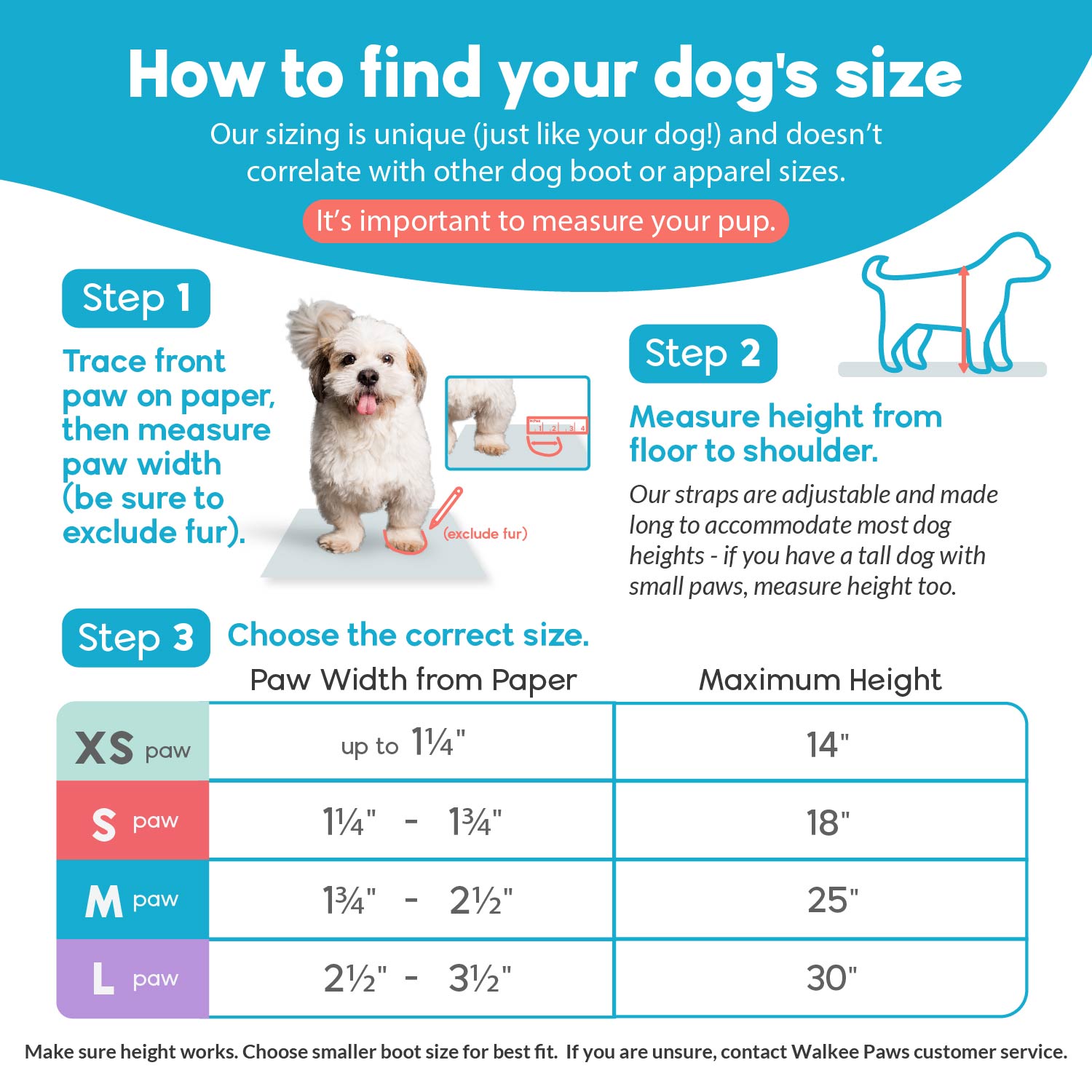 do puppy paws determine size