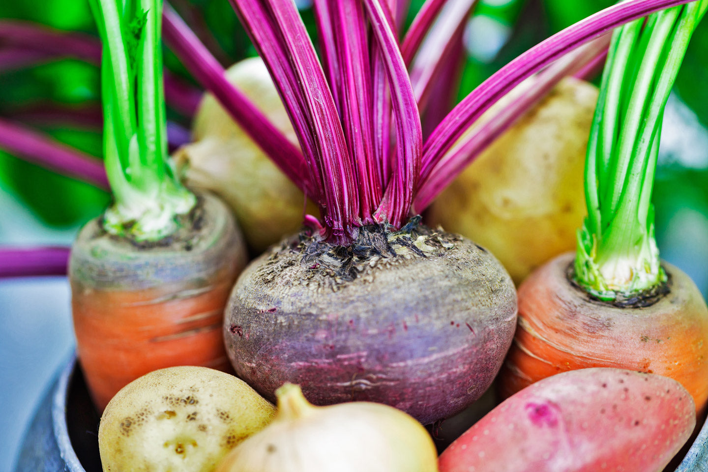 Root Vegetables and Exotic Fruits Month