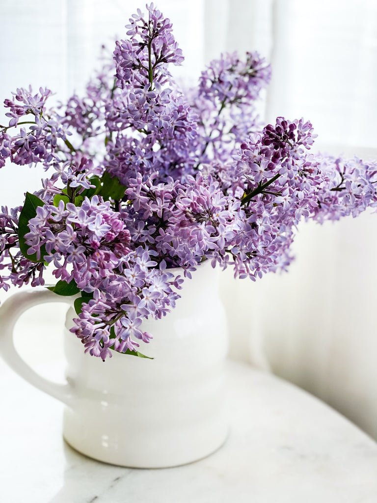 Lilac season is coming, here are some quick tips about the flower. – Just  Bee Cosmetics