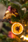 Gedroogde citrus ornament