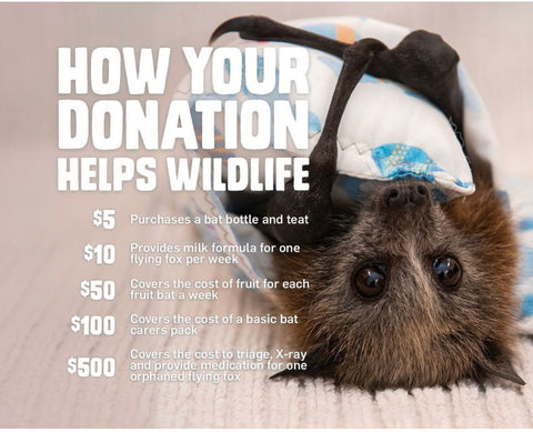 How your donations help wildlife