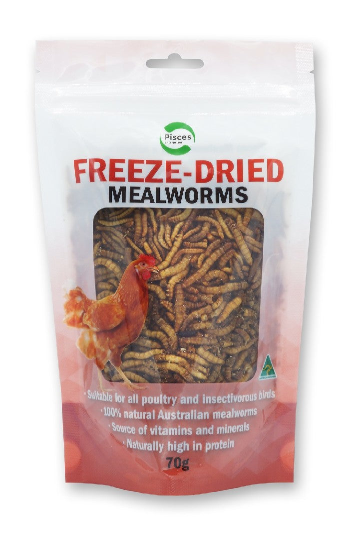 mealworms for birds