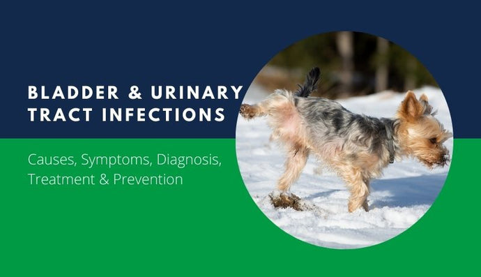 Pet Health Conditions A-Z – Tagged 