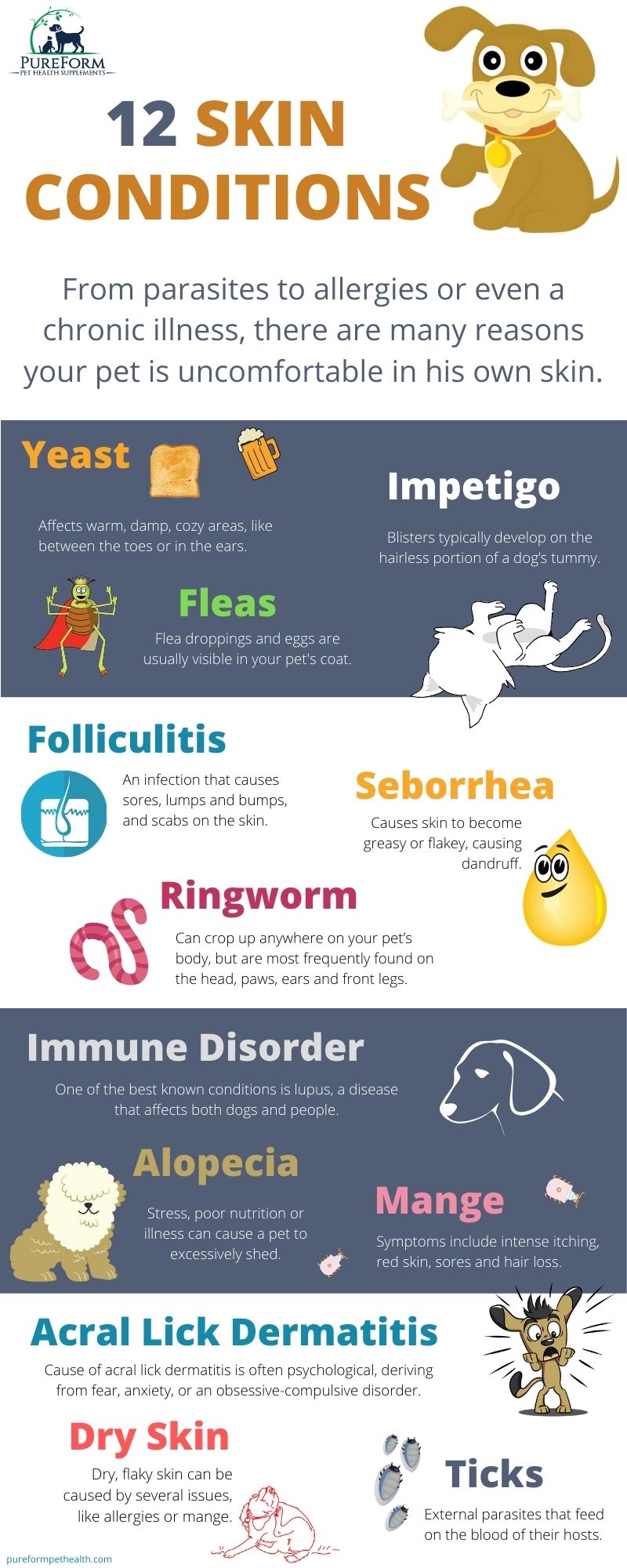 12 common canine skin conditions infographic