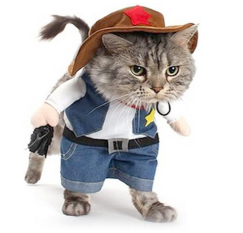 Cowboy Cat Halloween Pet Costume