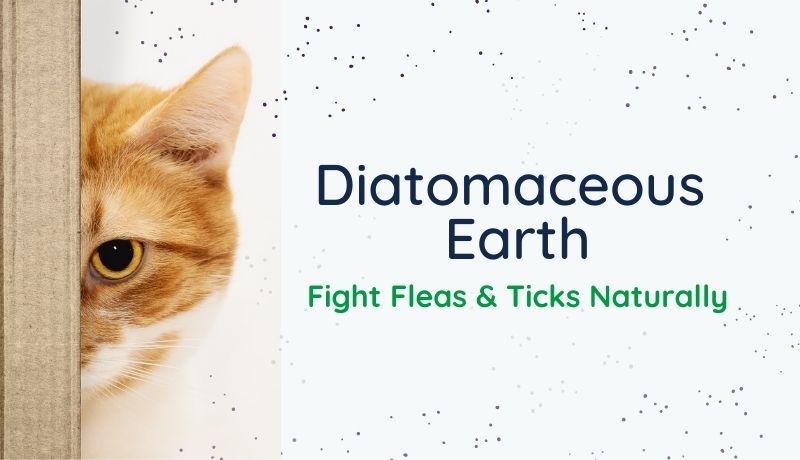 Diatomaceous Earth for Fleas & Ticks on Pets