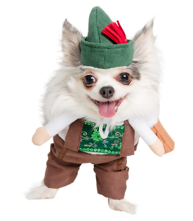 German Beer Halloween Pet Costume