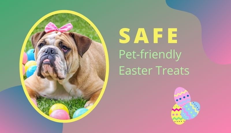 5 Toxic Foods for Pets + 3 Pet-friendly Easter Treat Recipes