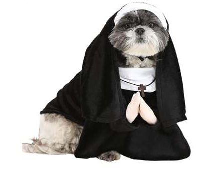 Nun Halloween Pet Costume