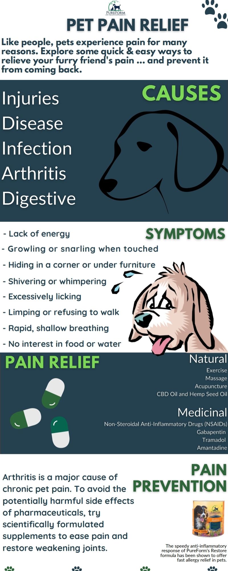 Pet Pain Relief Infographic