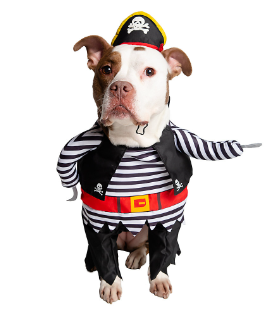 Pirate Halloween Pet Costume