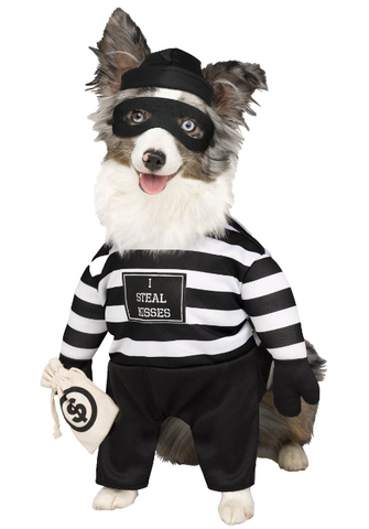 Robber Halloween Pet Costume