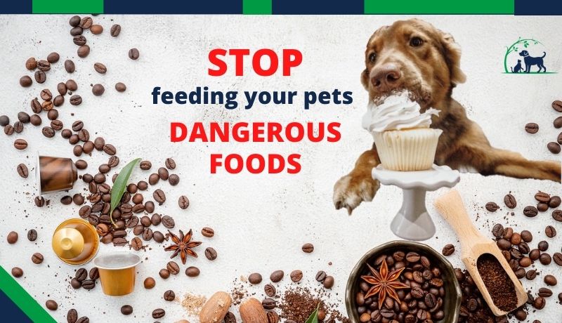 what vegetables are toxic to dogs