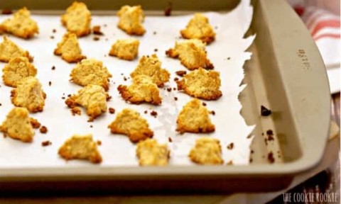 tuna and catnip croutons recipe