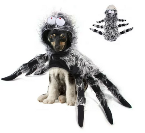 22 Best Halloween Pet Costume Ideas for 2023 | PureForm Pet Health