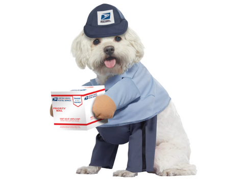 US Mail Carrier Halloween Pet Costume