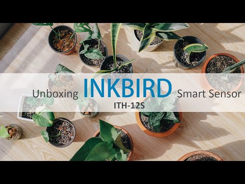 Testé : thermomètre Inkbird IBS-TH1 - La Presse+