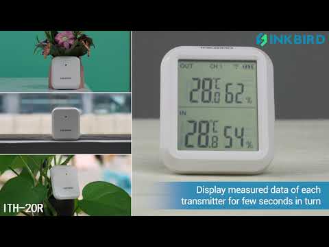 Digital Display Reptile Terrarium Thermometer with Suction Cup Fahrenheit  Celsius - China Terrarium Thermometer, Thermo-Hygrometer