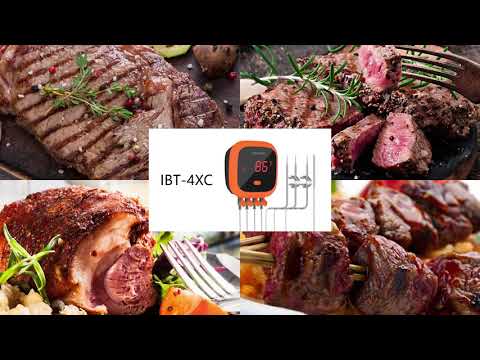 WiFi Grill Thermometer IBBQ-4T with Portable Case — INKBIRD