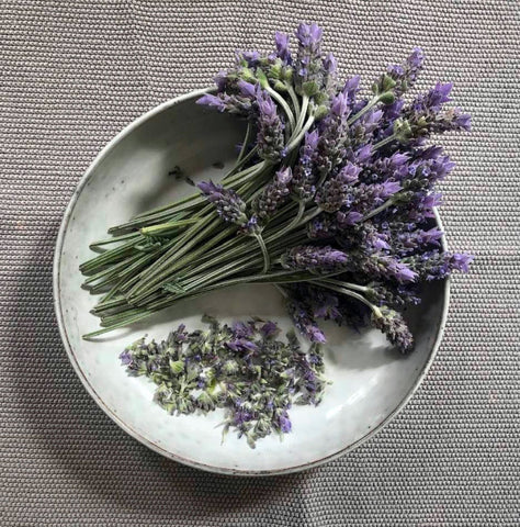 Frisch gepflückter Lavendel auf Geschirr Nordic Sand