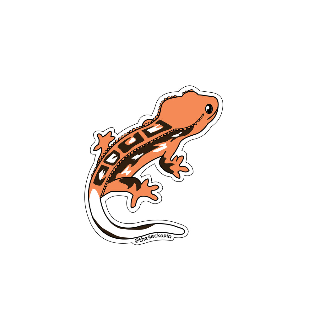 Gecko Potty Pad – Geckopia