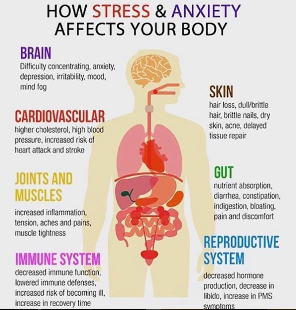 HOW STRESS EFFECTS YOUR BODY – JOHNNYBANGREILLY