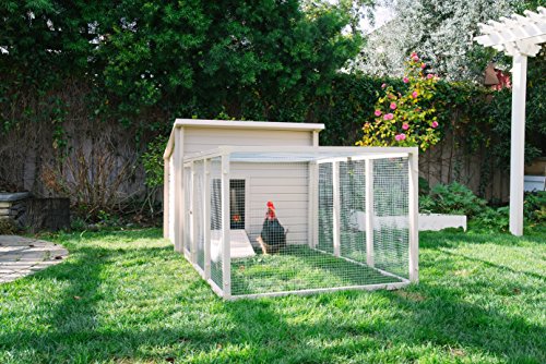 Chicken Poultry New Age Pet Ecoflex Jumbo Fontana Chicken Tan Barn