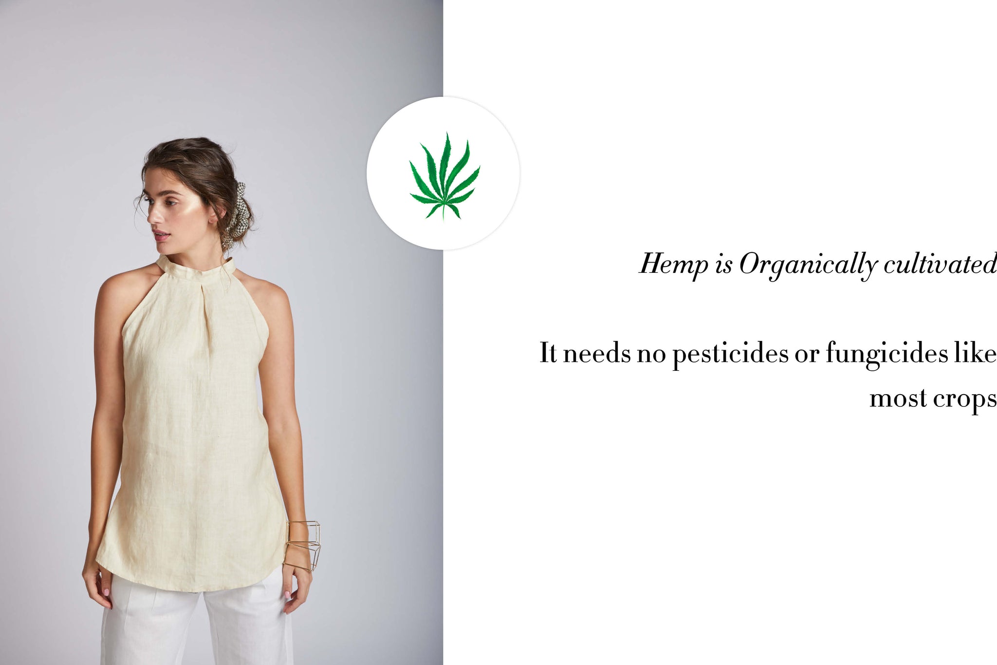 Hemp is organically cultivated . It needs no pesticides or fungicides like most crops