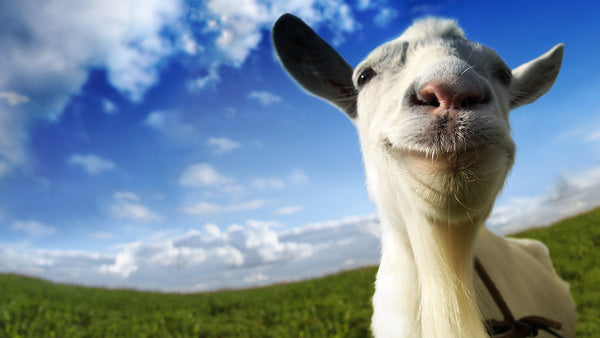 Goat Simulator + 3 DLC + OST (PC/MAC/LINUX) Download | Gamers247