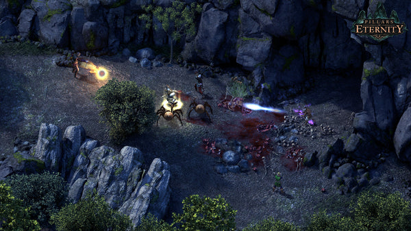 Pillars of Eternity: Hero Edition (PC/MAC/LINUX)  Steam Download 12