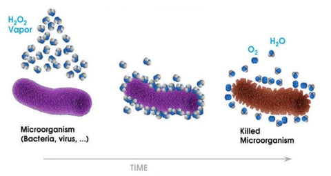 CASPR brief Hydrogen Peroxide as a Biocide