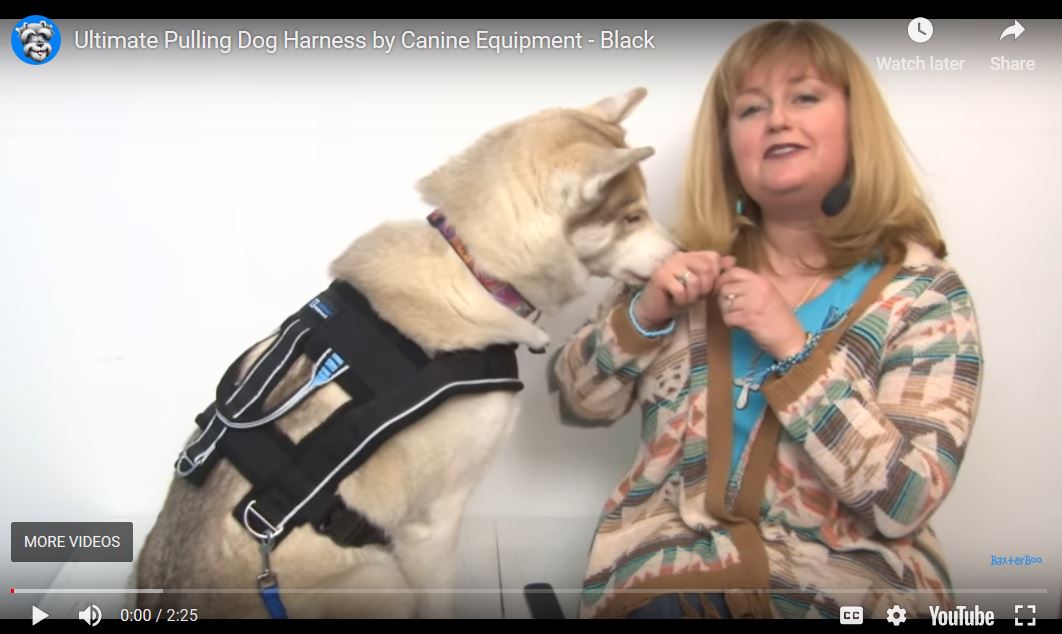 Ultimate Pulling Dog Harness by Canine Equipment — Stuff For Your Dog