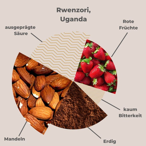 Rwenzori Uganda Kakao Aroma Profil