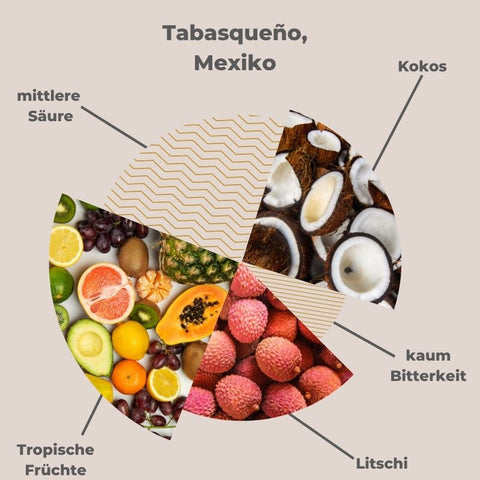 Tabasqueño Mexiko Kakao Aroma Profil