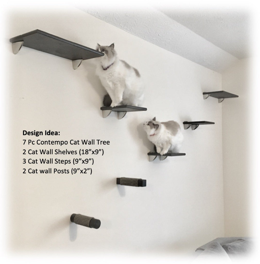 cat wall shelves