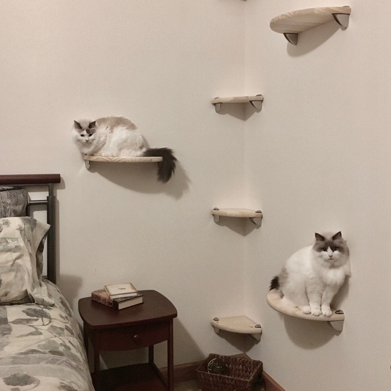 cat tower wall