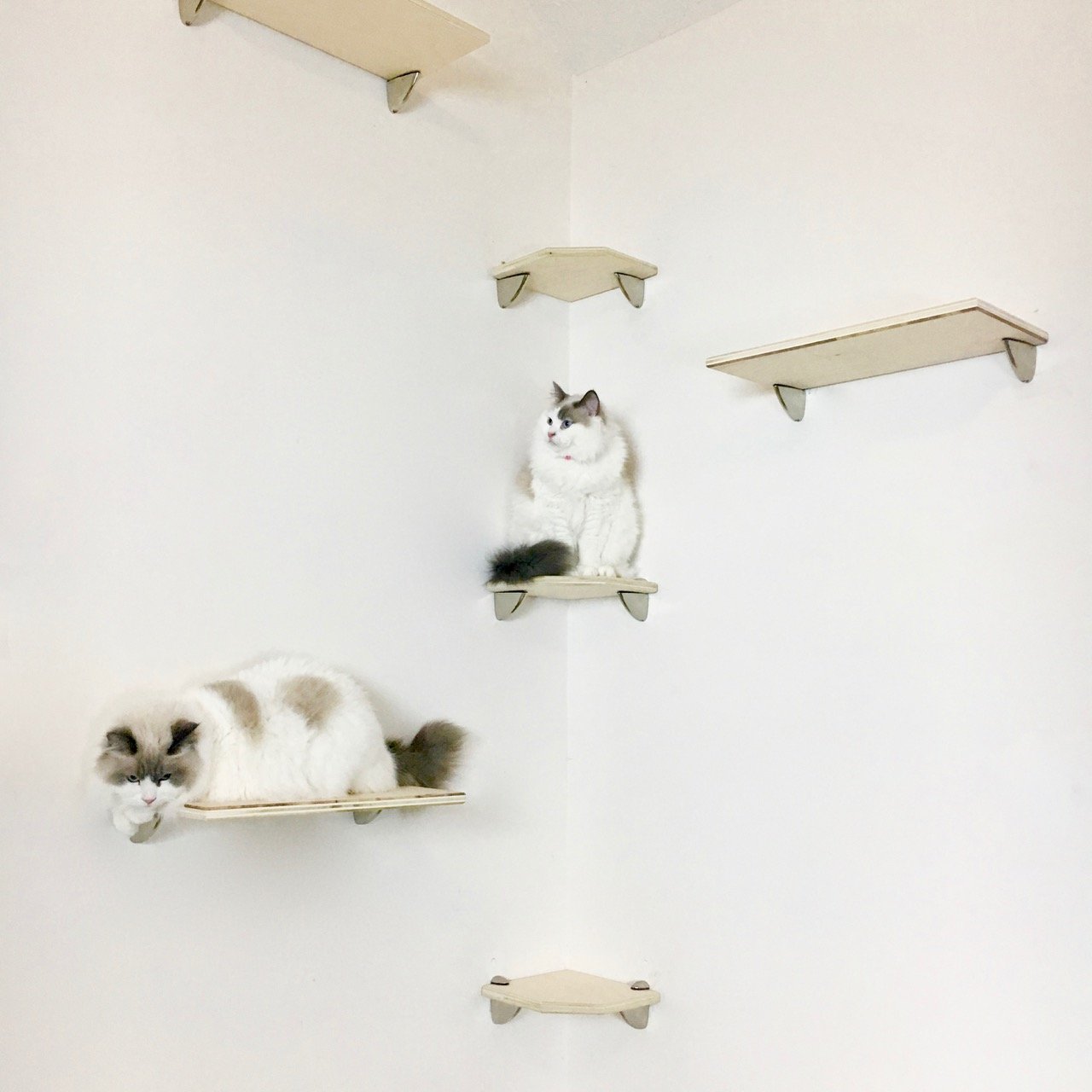 Cat Tree Corner Wall Tower - 6 Tier Stylish & Chic - 3 shelves 3 steps ...