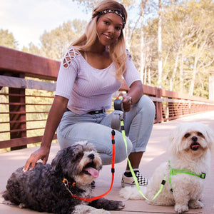 wigzi dual dog leash