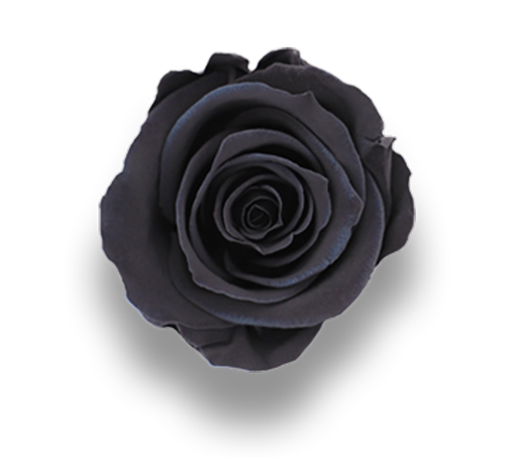 Preserved Roses in a Box 50% Off Sale | Forever Flowers | Le Jardin Infini