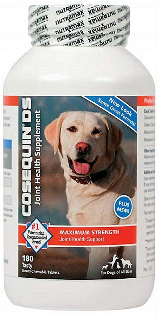 cosequin msm for dogs