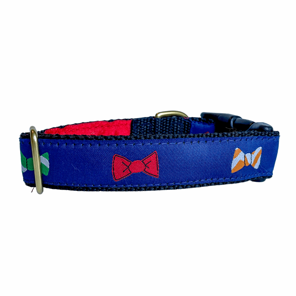 Diva Dog Uptown Dog Leash