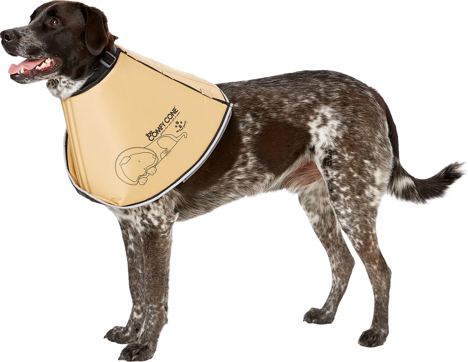 comfy cone dog collar