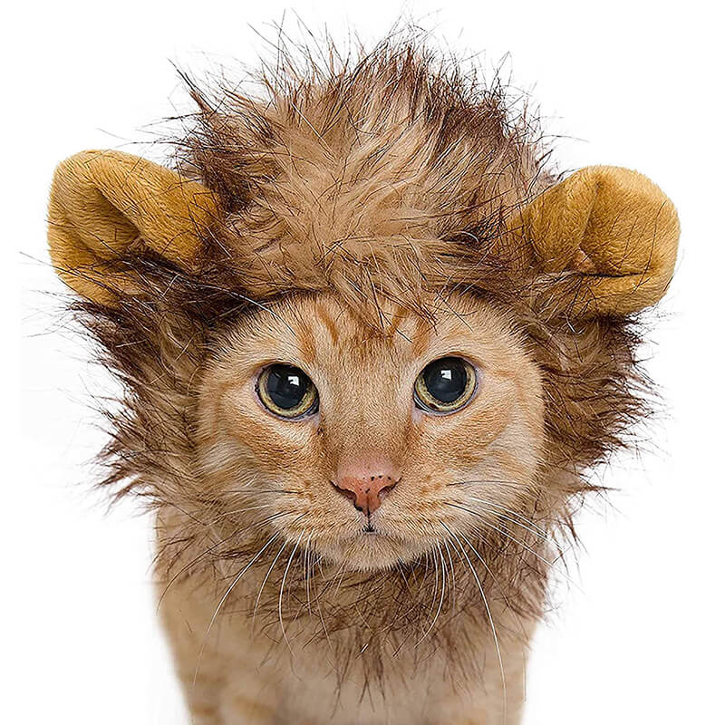 Lion Mane Costume for Pets