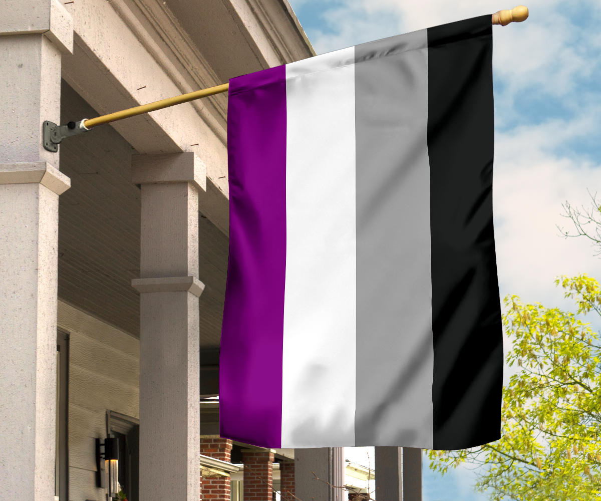 International Asexuality Day Flag Lgbt Pride Asexual Flag Ace Flag Ase 7964