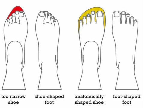 joe-nimble-shoe-shape